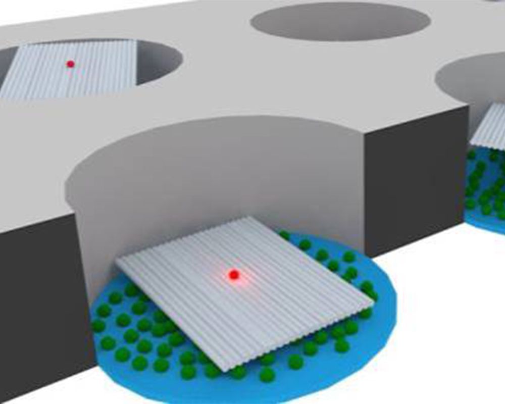 BIETE: Verfahren zum positionieren von Strukturen in Vertiefungen mit Durchmessern im Nanometerbereich